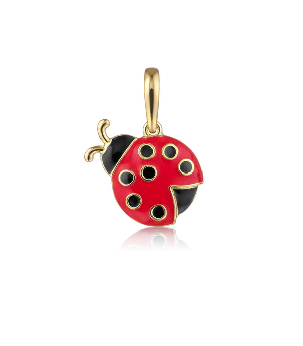 Ladybird Charm